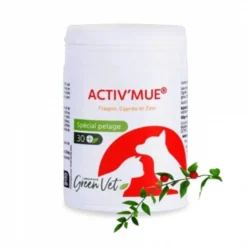 Activ'Mue Chat & Chien