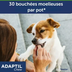 Adaptil® Chew chien