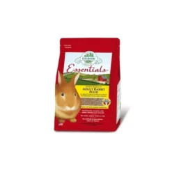Adult Bunny Basics lapin