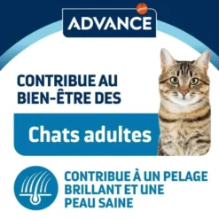 Advance Chat Sachet Repas Poulet 12x85G