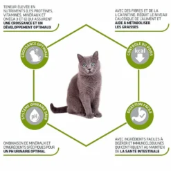 Advance Junior pour chatons stérilisés