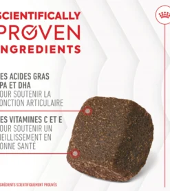 Aliment complémentaire Joint & Ageing Chews pour chien