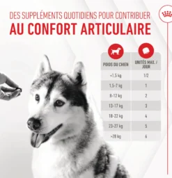 Aliment complémentaire Joint & Ageing Chews pour chien
