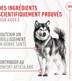 Aliment complémentaire Joint & Ageing Chews pour chien