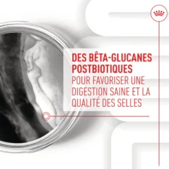 Aliment complémentaire Puppy Immunity & Digestion Chews chiot