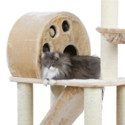 Arbre à chat Allora
