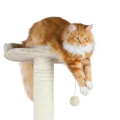 Arbre à chat Allora
