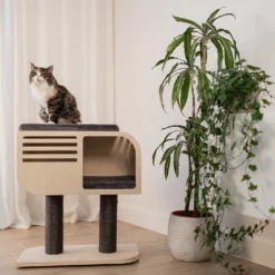 Arbre à chat Atlas