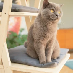 Arbre à chat Mirza