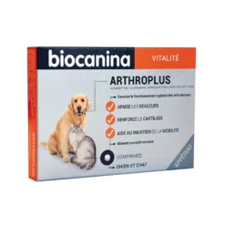 Arthroplus chien, chat