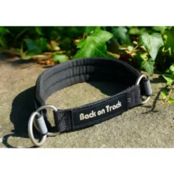 Back On Track Collier pour chien