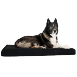 Back On Track Matelas pour chien