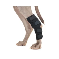 Back On Track protection de patte arrière pour chien