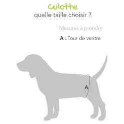 Bande ventrale pour chiens mâles