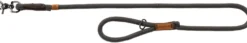 BE NORDIC LAISSE CHIEN CORDE