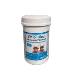 Bleu - chien et chat senior