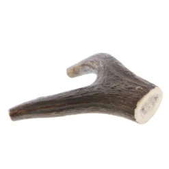 Bois de Cerf