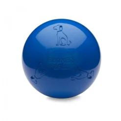 Boomer Ball chien