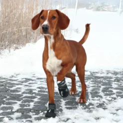 Bottes de protection Walker Active chien