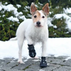 Bottes de protection Walker Active chien