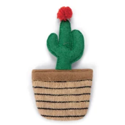 Cactus à l'herbe à chat