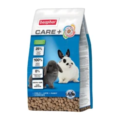 Care + Lapin