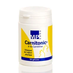 Carnitonic chat, chien