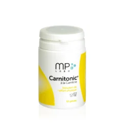Carnitonic chat, chien