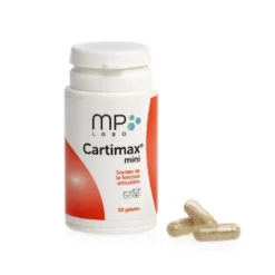 Cartimax chat, chien