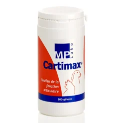 Cartimax chat, chien