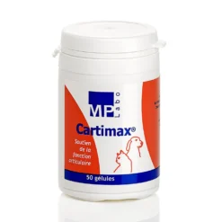 Cartimax chat, chien
