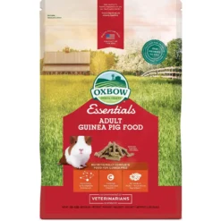 Cavy Cuisine Adulte