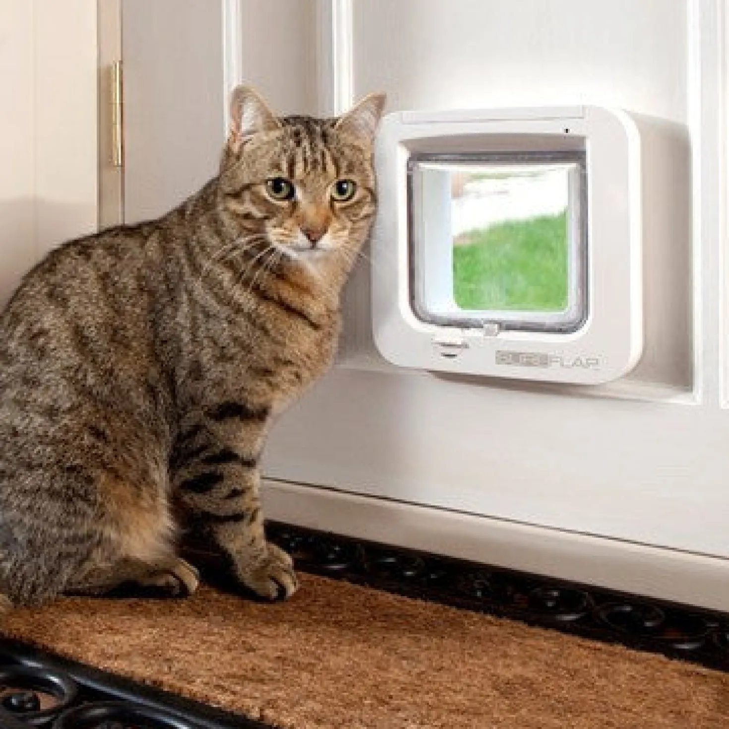 Chatière électronique chat