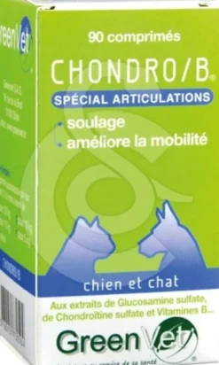 Chondro B Chat & Chien