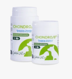 Chondro B Chat & Chien