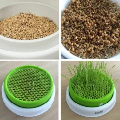 Circuit Bee Play & Garden