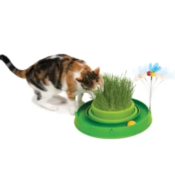 Circuit Bee Play & Garden