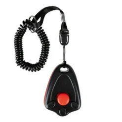 CLICKER EDUCATION