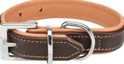 COLLIER ACTIVE COMFORT