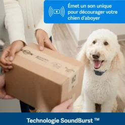 Collier anti-aboiement à signal sonore rechargeable chien