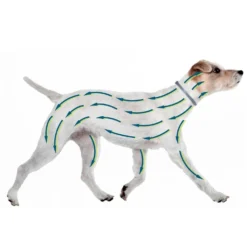 Collier Antiparasitaire Seresto Chien