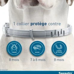 Collier Antiparasitaire Seresto Chien