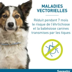 Collier Antiparasitaire Seresto Chien