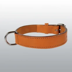 Collier en cuir double chien