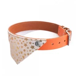 Collier en cuir Miami Dog – Orange & doré