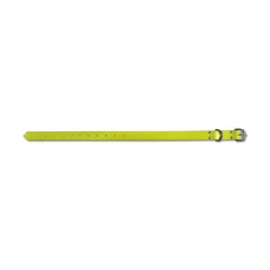 Collier fluo