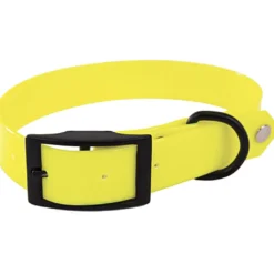 Collier fluo chasse