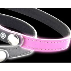 Collier porte-adresse réfléchissant chat, chien