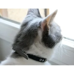 Collier porte-adresse réfléchissant chat, chien