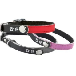 Collier porte-adresse réfléchissant chat, chien